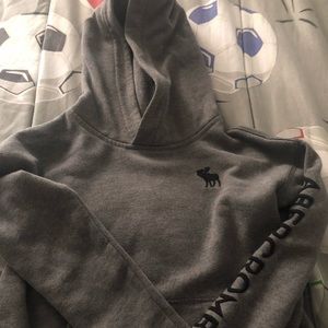 Abercrombie Kid Boys Grey Logo Hoodie